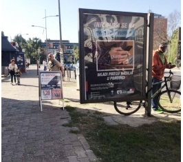 Novi Sad - CityLight - Stražilovska 35